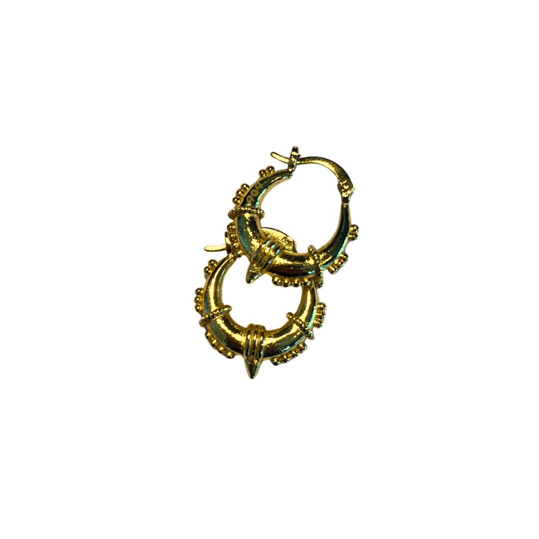 Illy Earrings