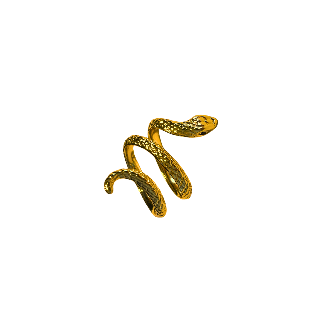 Dusted Ring