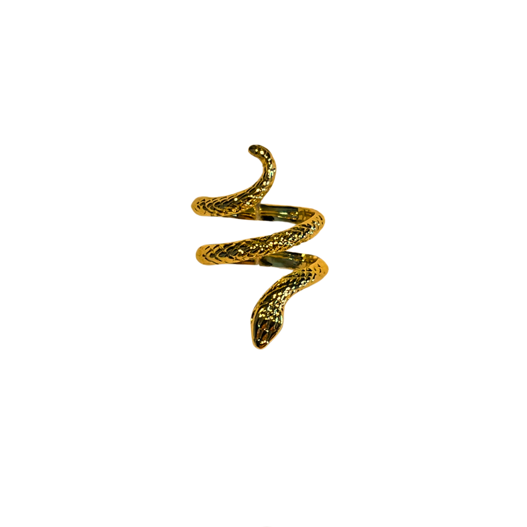 Dusted Ring