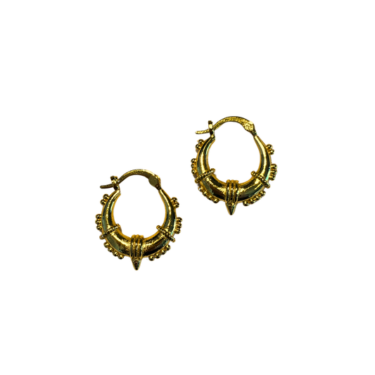 Illy Earrings