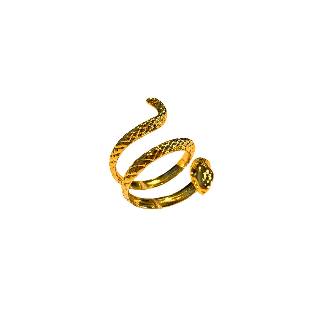 Dusted Ring
